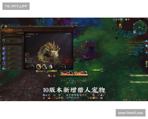 魔兽世界怀旧服猎人:聚焦怪物血条,战斗从血量开始 魔兽世界怀旧服猎人:聚焦怪物血条,战斗从血量开始
